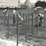 1956 Watching gymkhana Lambretta in Pinerolo
